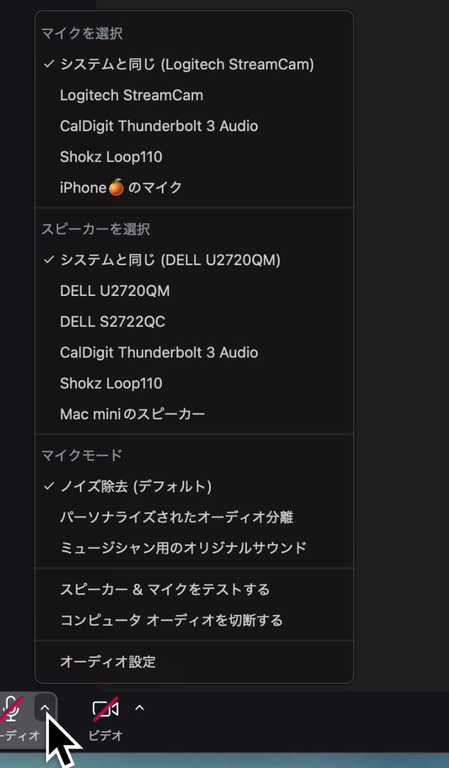 Zoomのオーディオメニュー